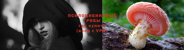 кокс Алексин