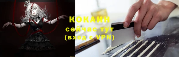 кокс Алексин