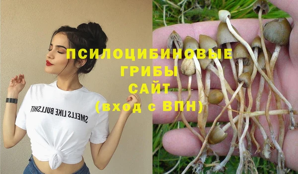 дмт Покачи